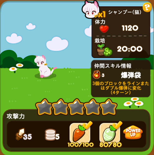 シャンプー（猫）